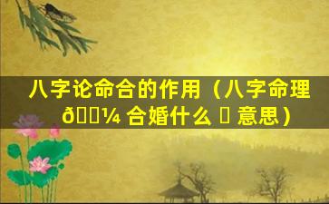 八字论命合的作用（八字命理 🐼 合婚什么 ☘ 意思）